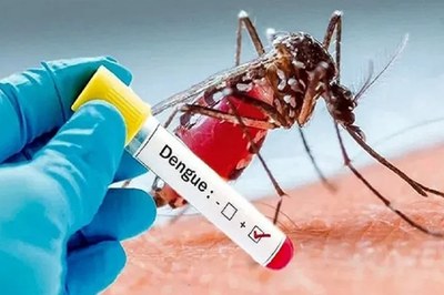 দেশে ২৪ ঘণ্টায় ডেঙ্গুতে ৯ জনের মৃত্যু