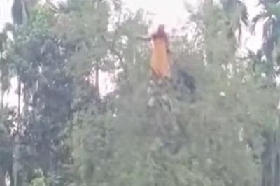 ‌নিখোঁজ বৃদ্ধার সন্ধান মিলল তেঁতুল গাছের মগডালে