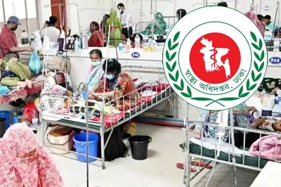হামকাণ্ডে এ পর্যন্ত মৃত্যু ৫৬৫