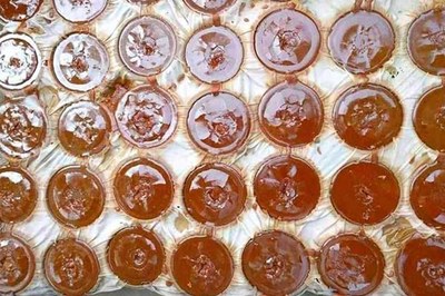 রাজশাহীতে ভেজাল গুড়ে সয়লাব বাজার