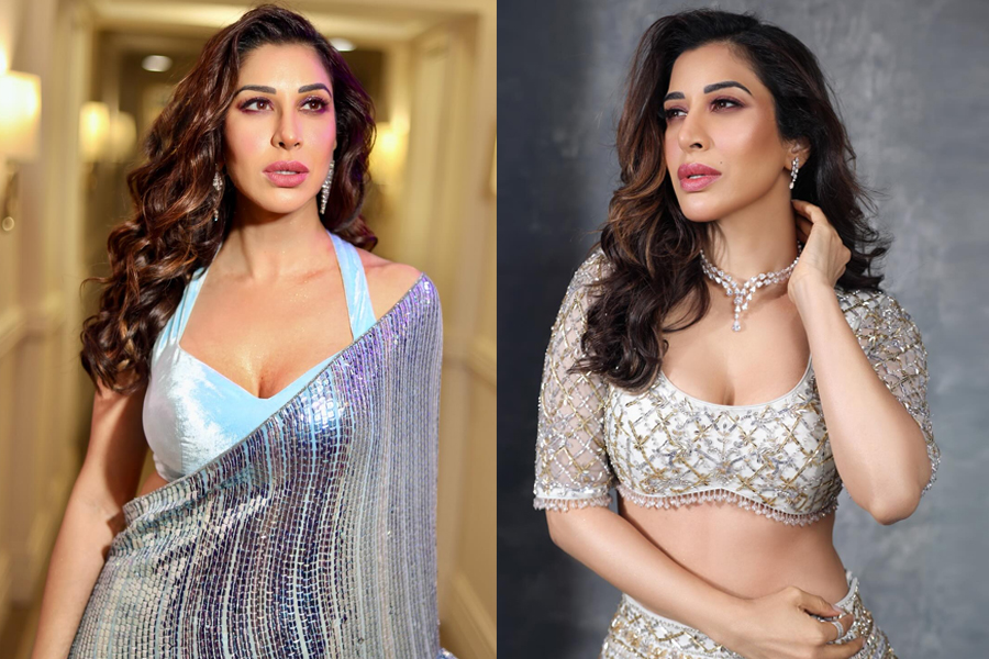 ‘হিট ছবি নেই, তবু আয় বেশি’—বিস্ফোরক দাবি সোফী চৌধুরীর