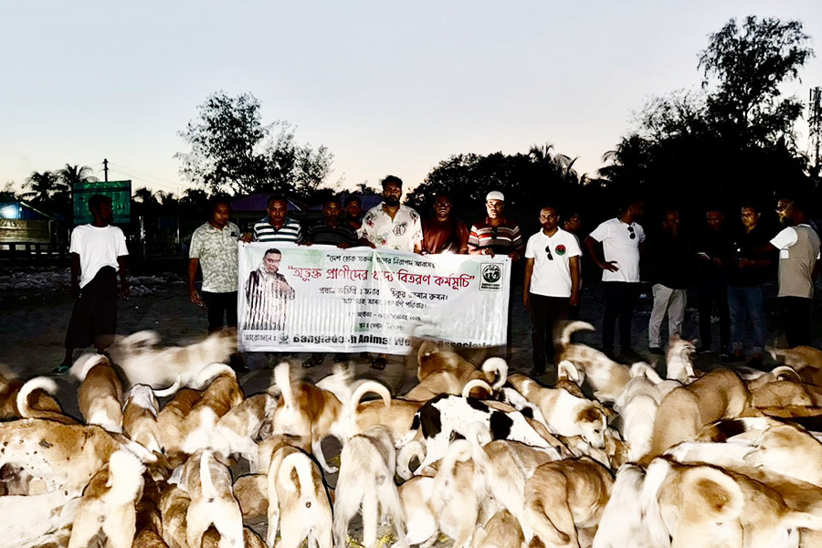 সেন্ট মার্টিনে অভুক্ত প্রাণীর সহায়তায় পাশে বাওয়া