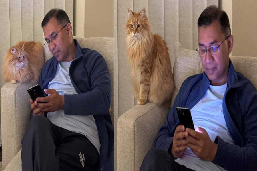 আদরের সেই বিড়াল নিয়ে যা বললেন তারেক রহমান