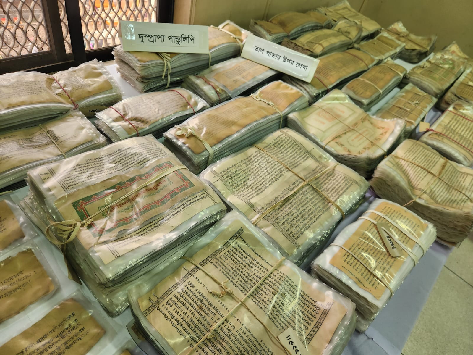 ৬ শতাধিক বছর আগের হাতের লেখা দুর্লভ তালপাতার পাণ্ডুলিপি।